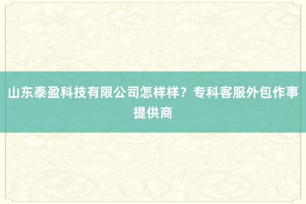 山东泰盈科技有限公司怎样样？专科客服外包作事提供商