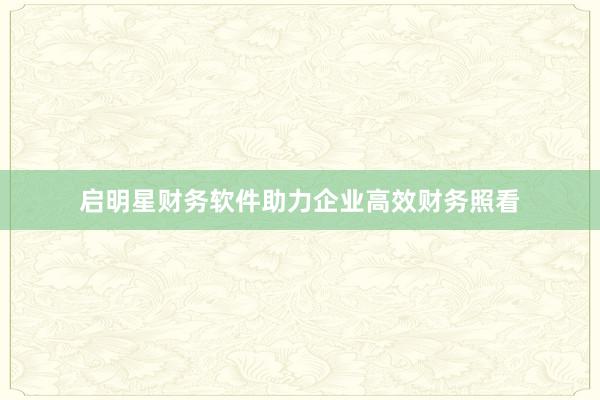 启明星财务软件助力企业高效财务照看