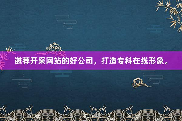 遴荐开采网站的好公司，打造专科在线形象。