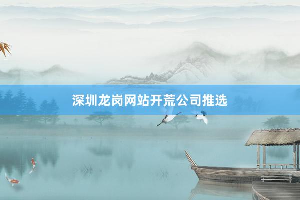 深圳龙岗网站开荒公司推选