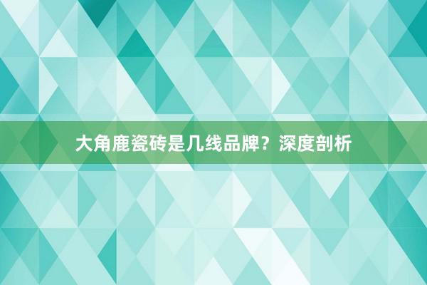 大角鹿瓷砖是几线品牌？深度剖析